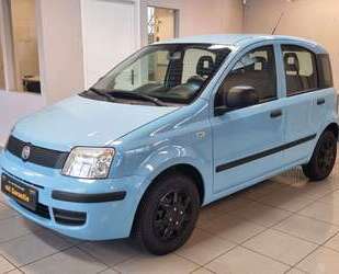 Fiat Panda Gebrauchtwagen