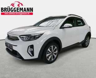 Kia Stonic Gebrauchtwagen