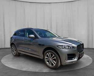Jaguar F-Pace Gebrauchtwagen