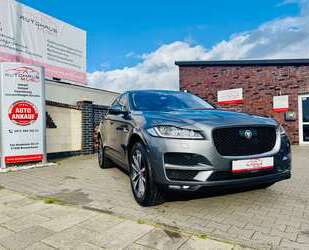 Jaguar F-Pace Gebrauchtwagen