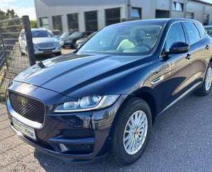 Jaguar F-Pace Gebrauchtwagen