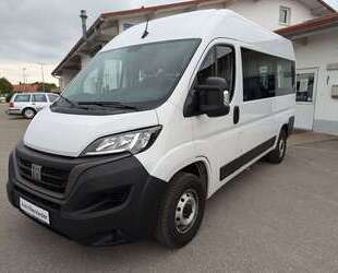 Fiat Ducato Gebrauchtwagen