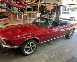 Ford Mustang Gebrauchtwagen