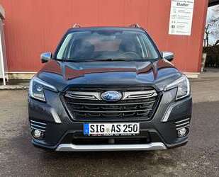 Subaru Forester Gebrauchtwagen