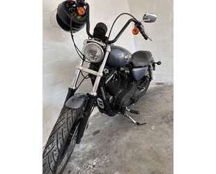 Harley Davidson Sportster XL 883 Gebrauchtwagen