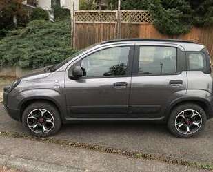 Fiat Panda Gebrauchtwagen