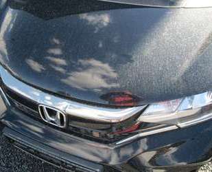 Honda Jazz Gebrauchtwagen