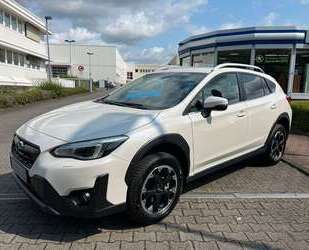 Subaru XV Gebrauchtwagen