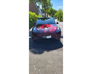 Tesla Model Y Gebrauchtwagen