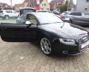 Audi S5 Gebrauchtwagen
