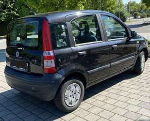 Fiat Panda Gebrauchtwagen
