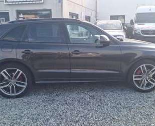 Audi SQ5 Gebrauchtwagen