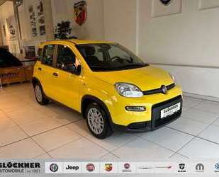 Fiat Panda Gebrauchtwagen