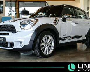 Mini Paceman Gebrauchtwagen