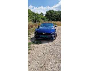 Ford Mustang Gebrauchtwagen