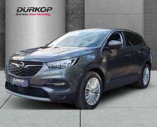 Opel Grandland X Gebrauchtwagen
