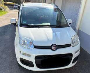 Fiat Panda Gebrauchtwagen