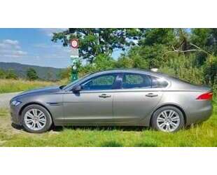 Jaguar XF Gebrauchtwagen