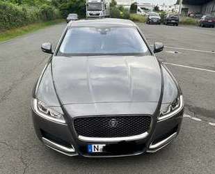 Jaguar XF Gebrauchtwagen
