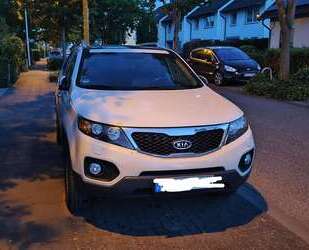 Kia Sorento Gebrauchtwagen