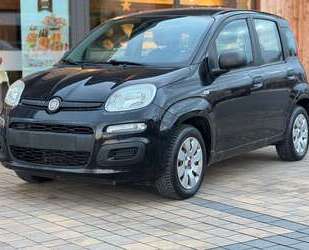 Fiat Panda Gebrauchtwagen