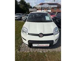 Fiat Panda Gebrauchtwagen