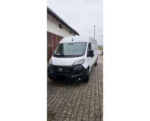 Fiat Ducato Gebrauchtwagen