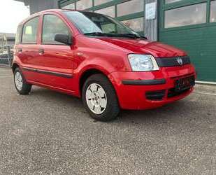 Fiat Panda Gebrauchtwagen