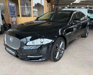 Jaguar XJ Gebrauchtwagen