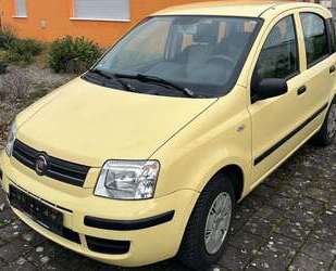 Fiat Panda Gebrauchtwagen