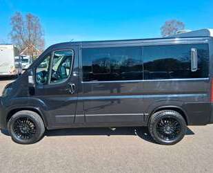 Fiat Ducato Gebrauchtwagen