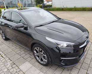 Kia XCeed Gebrauchtwagen