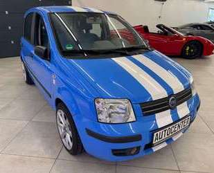 Fiat Panda Gebrauchtwagen