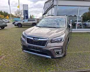 Subaru Forester Gebrauchtwagen