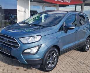 Ford EcoSport Gebrauchtwagen