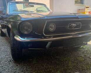 Ford Mustang Gebrauchtwagen