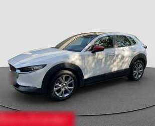 Mazda CX-30 Gebrauchtwagen