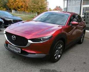 Mazda CX-30 Gebrauchtwagen