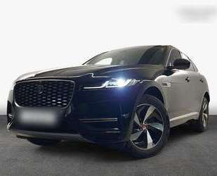 Jaguar F-Pace Gebrauchtwagen