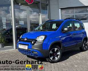 Fiat Panda Gebrauchtwagen
