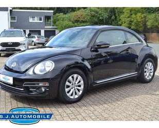 VW Beetle Gebrauchtwagen
