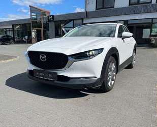 Mazda CX-30 Gebrauchtwagen