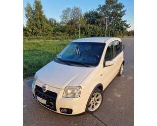 Fiat Panda Gebrauchtwagen