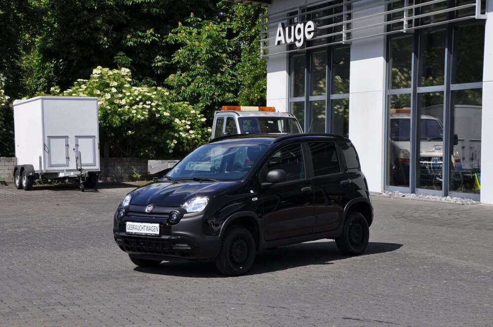 Bild 1