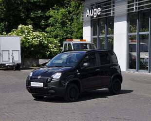 Fiat Panda Gebrauchtwagen