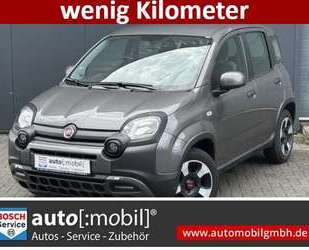 Fiat Panda Gebrauchtwagen