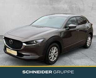 Mazda CX-30 Gebrauchtwagen
