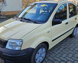 Fiat Panda Gebrauchtwagen