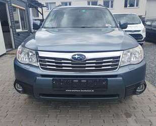 Subaru Forester Gebrauchtwagen