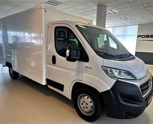 Fiat Ducato Gebrauchtwagen